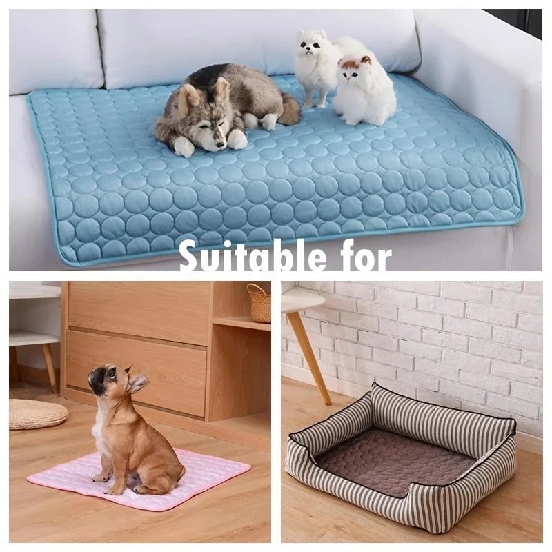 Tapis Rafraîchissant pour Chien — CaniKool™